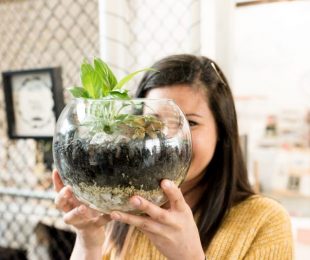 Petite Green Terrariums